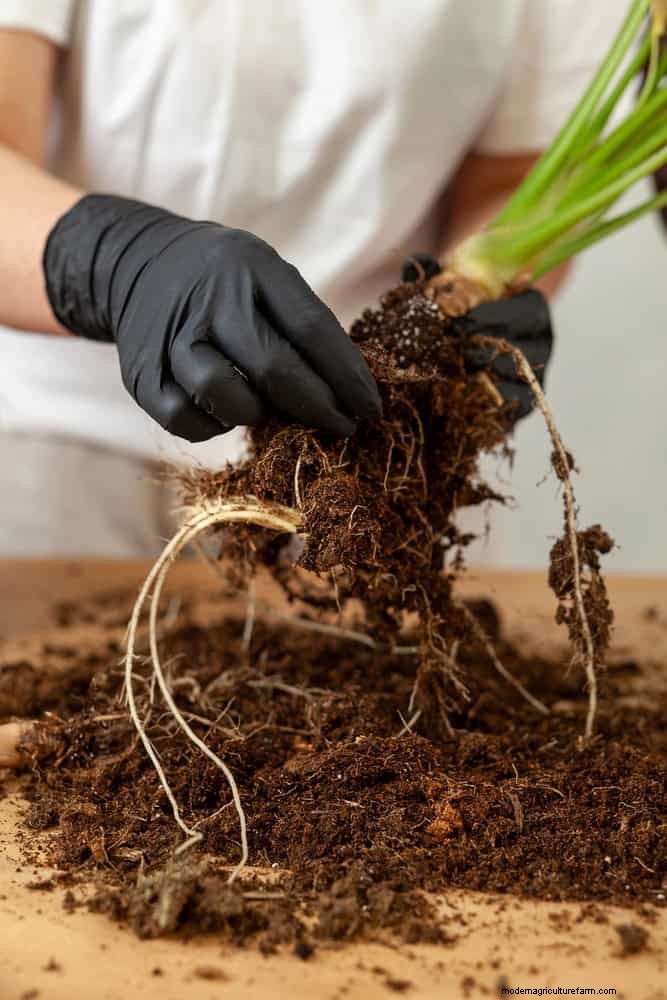 Les dangers cachés de la négligence du rafraîchissement des sols :pourquoi un renouvellement régulier des sols est essentiel 