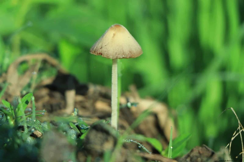 Les dangers cachés de la négligence du rafraîchissement des sols :pourquoi un renouvellement régulier des sols est essentiel 