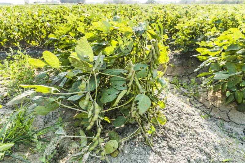 Les dangers cachés de la négligence du rafraîchissement des sols :pourquoi un renouvellement régulier des sols est essentiel 