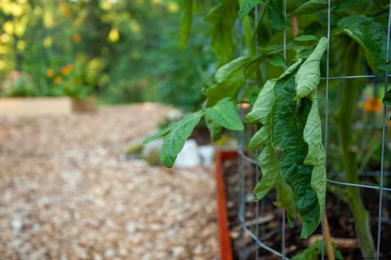 Les dangers cachés de la négligence du rafraîchissement des sols :pourquoi un renouvellement régulier des sols est essentiel 