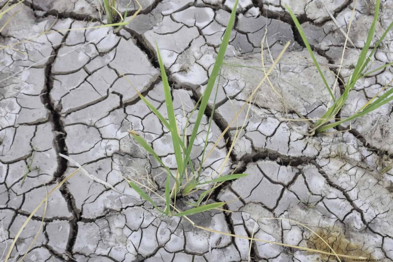 Les dangers cachés de la négligence du rafraîchissement des sols :pourquoi un renouvellement régulier des sols est essentiel 