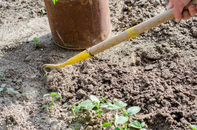 Les dangers cachés de la négligence du rafraîchissement des sols :pourquoi un renouvellement régulier des sols est essentiel 