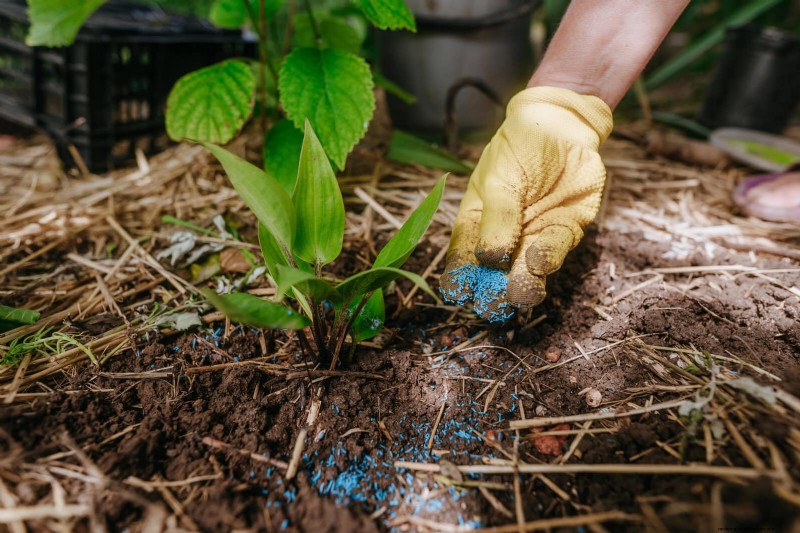 Les dangers cachés de la négligence du rafraîchissement des sols :pourquoi un renouvellement régulier des sols est essentiel 