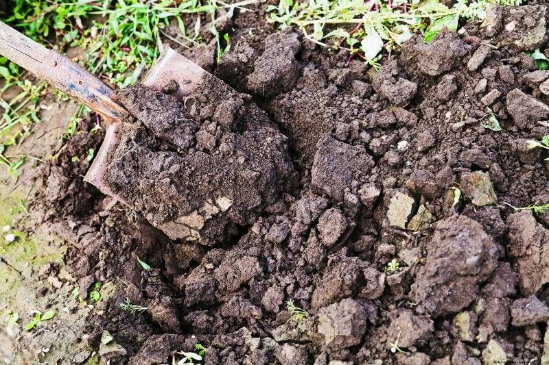 Les dangers cachés de la négligence du rafraîchissement des sols :pourquoi un renouvellement régulier des sols est essentiel 