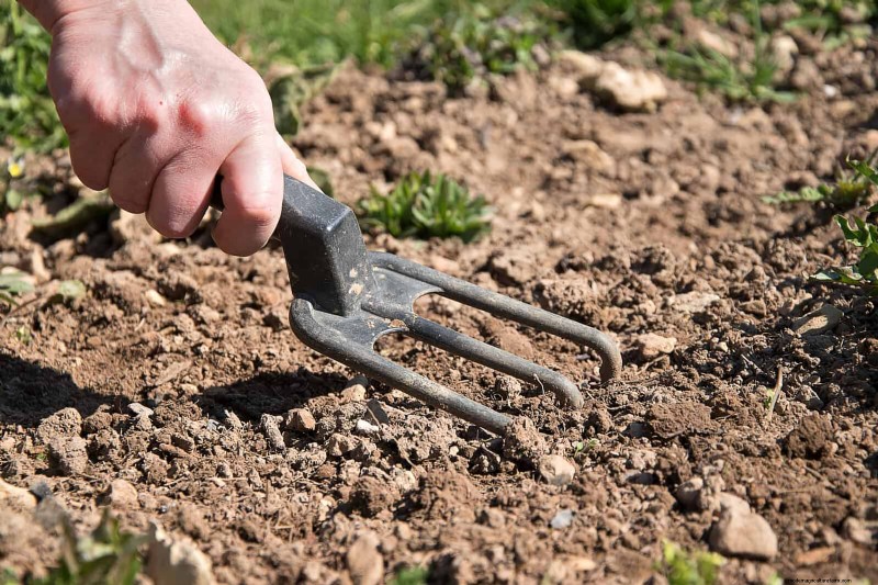 Les dangers cachés de la négligence du rafraîchissement des sols :pourquoi un renouvellement régulier des sols est essentiel 