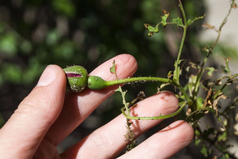 Les dangers cachés de la négligence du rafraîchissement des sols :pourquoi un renouvellement régulier des sols est essentiel 