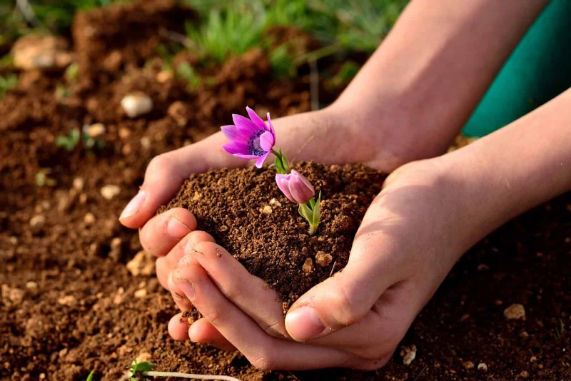 Les dangers cachés de la négligence du rafraîchissement des sols :pourquoi un renouvellement régulier des sols est essentiel 