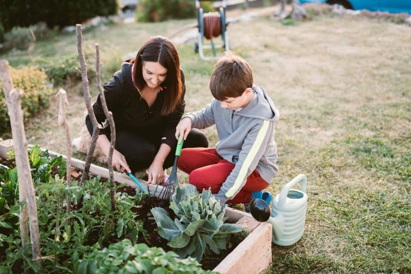 27 transformations de jardin expertes qui revitalisent instantanément votre cour 