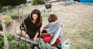 27 deskundige tuintransformaties die uw tuin onmiddellijk nieuw leven inblazen 