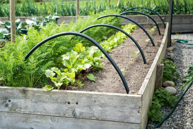27 transformations de jardin expertes qui revitalisent instantanément votre cour 