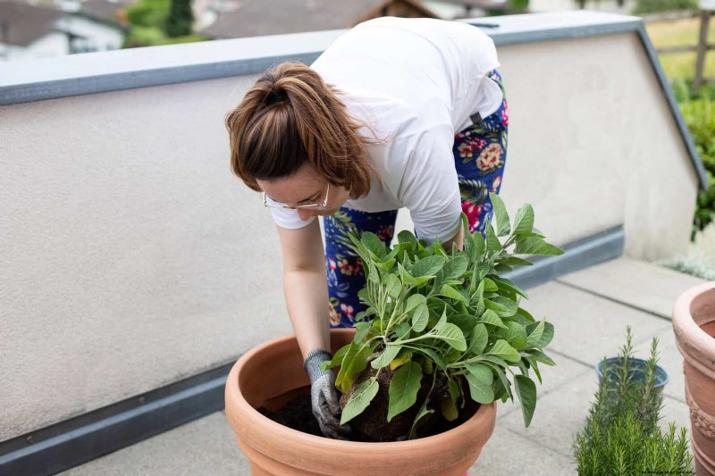 27 transformations de jardin expertes qui revitalisent instantanément votre cour 