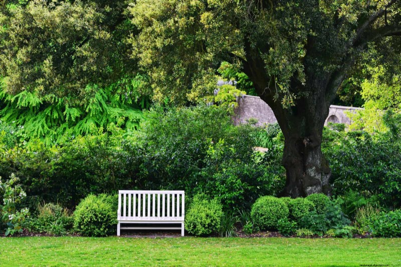 27 transformations de jardin expertes qui revitalisent instantanément votre cour 