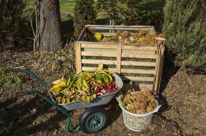 27 transformations de jardin expertes qui revitalisent instantanément votre cour 