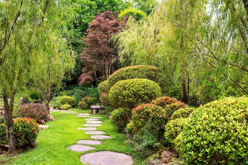 27 transformations de jardin expertes qui revitalisent instantanément votre cour 