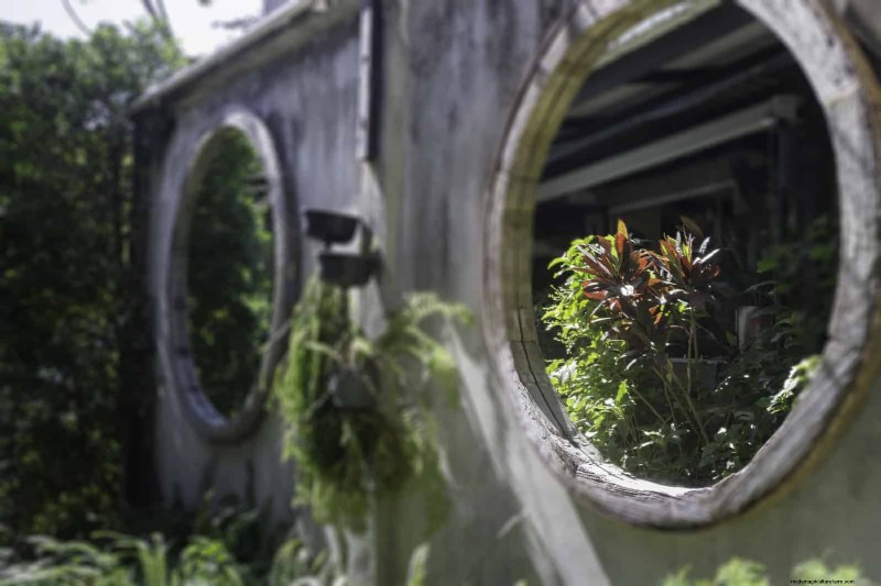 27 transformations de jardin expertes qui revitalisent instantanément votre cour 