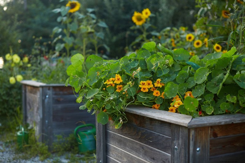 27 transformations de jardin expertes qui revitalisent instantanément votre cour 
