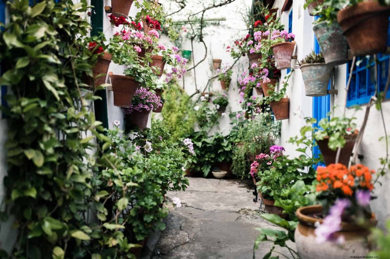 27 transformations de jardin expertes qui revitalisent instantanément votre cour 