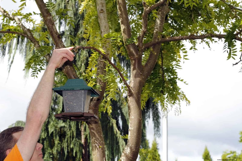 27 transformations de jardin expertes qui revitalisent instantanément votre cour 