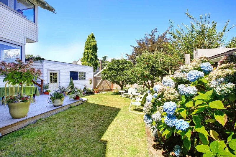 21 stratégies végétales éprouvées pour résoudre les défis courants de votre jardin