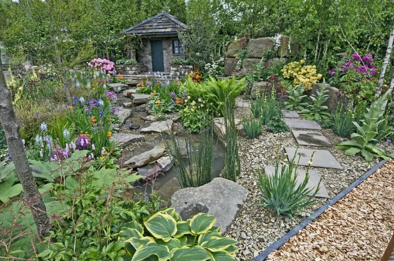 21 stratégies végétales éprouvées pour résoudre les défis courants de votre jardin