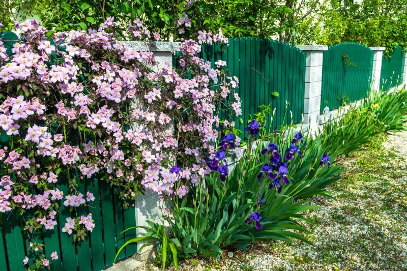 21 stratégies végétales éprouvées pour résoudre les défis courants de votre jardin