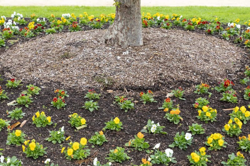 21 stratégies végétales éprouvées pour résoudre les défis courants de votre jardin
