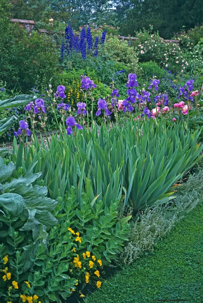 21 stratégies végétales éprouvées pour résoudre les défis courants de votre jardin