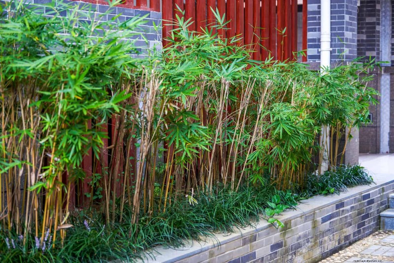 21 stratégies végétales éprouvées pour résoudre les défis courants de votre jardin