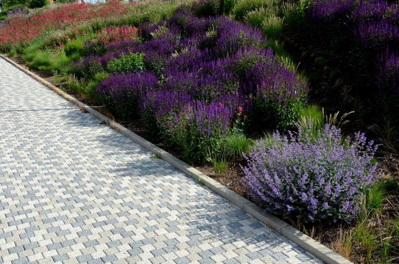 21 stratégies végétales éprouvées pour résoudre les défis courants de votre jardin