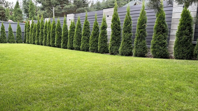 21 stratégies végétales éprouvées pour résoudre les défis courants de votre jardin