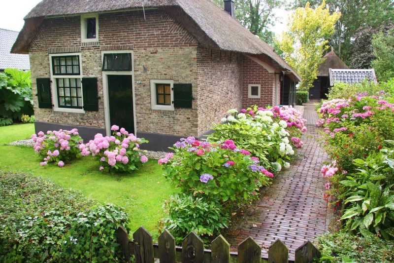 21 stratégies végétales éprouvées pour résoudre les défis courants de votre jardin
