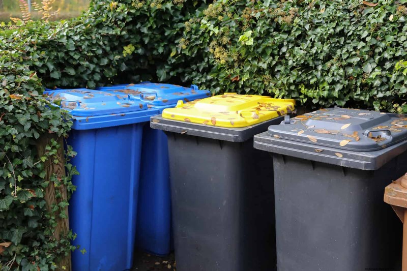 21 stratégies végétales éprouvées pour résoudre les défis courants de votre jardin