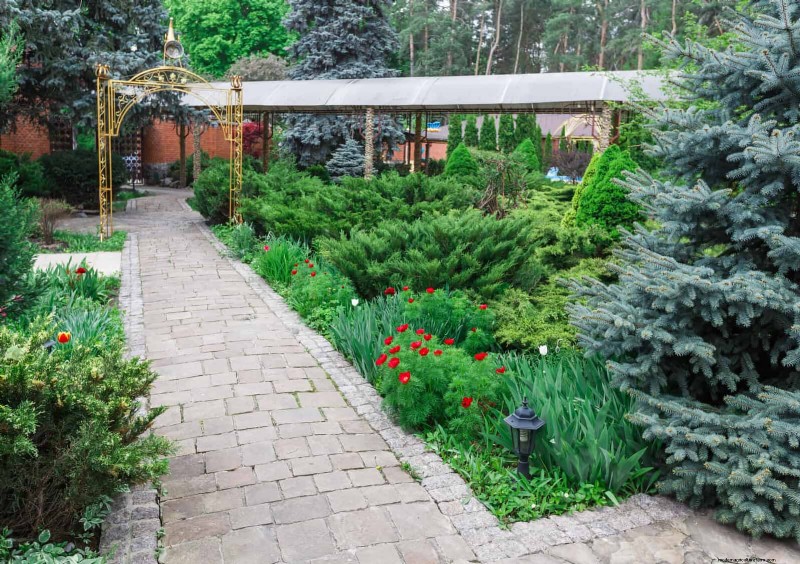 21 stratégies végétales éprouvées pour résoudre les défis courants de votre jardin