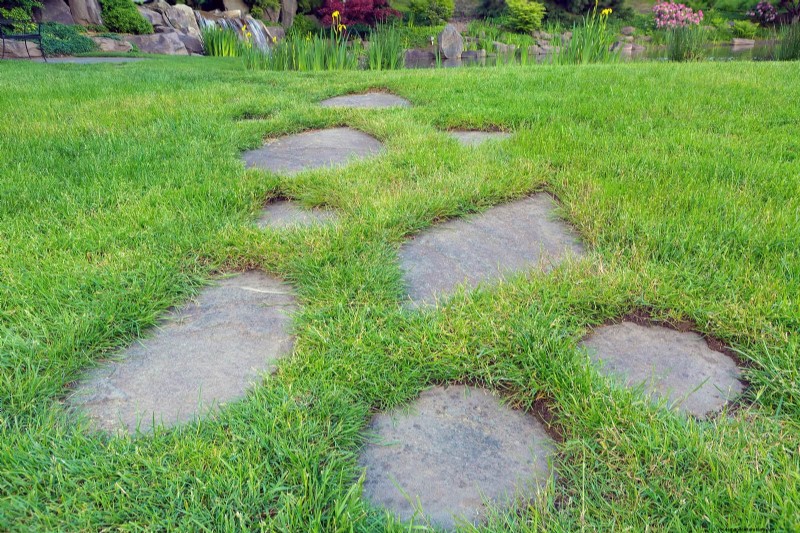 21 stratégies végétales éprouvées pour résoudre les défis courants de votre jardin