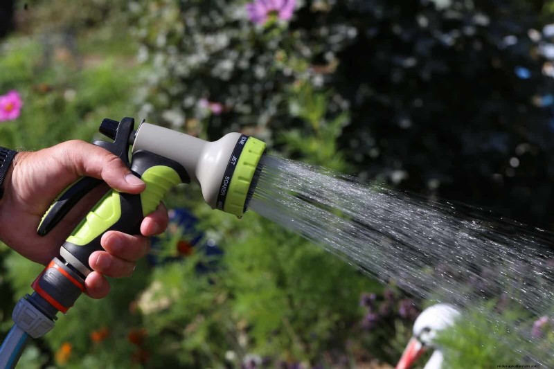 21 stratégies végétales éprouvées pour résoudre les défis courants de votre jardin