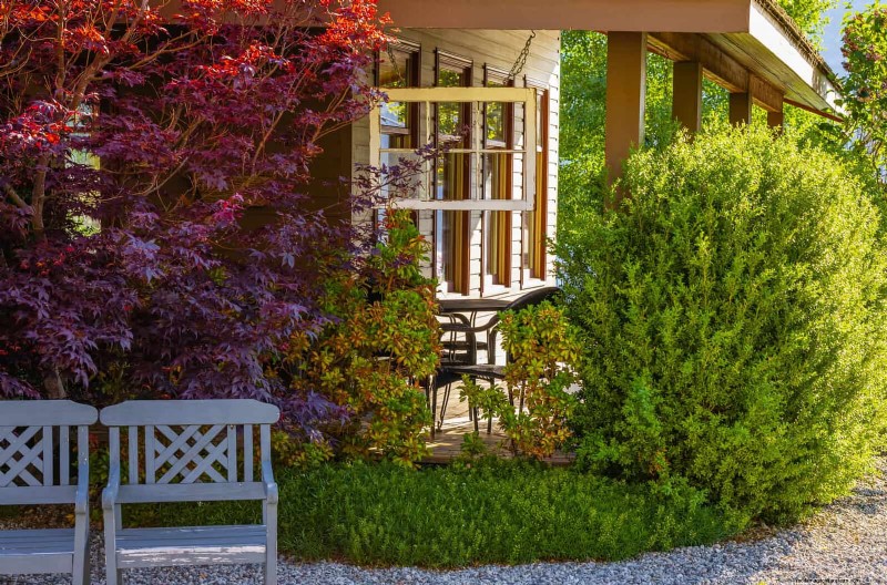 21 stratégies végétales éprouvées pour résoudre les défis courants de votre jardin