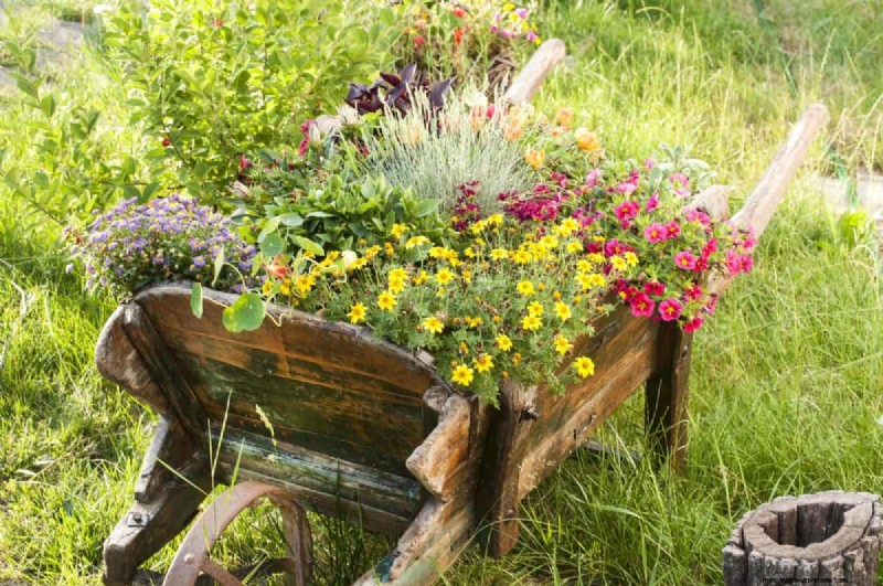 25 budgetvriendelijke plantenbakideeën die stijl toevoegen aan elke buitenruimte 