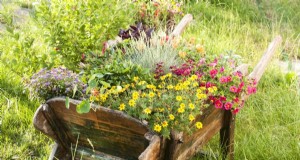 25 ideas de jardineras económicas que agregan estilo a cualquier espacio al aire libre 