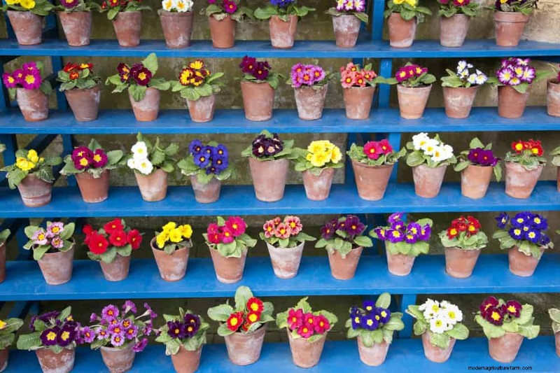 25 budgetvriendelijke plantenbakideeën die stijl toevoegen aan elke buitenruimte 