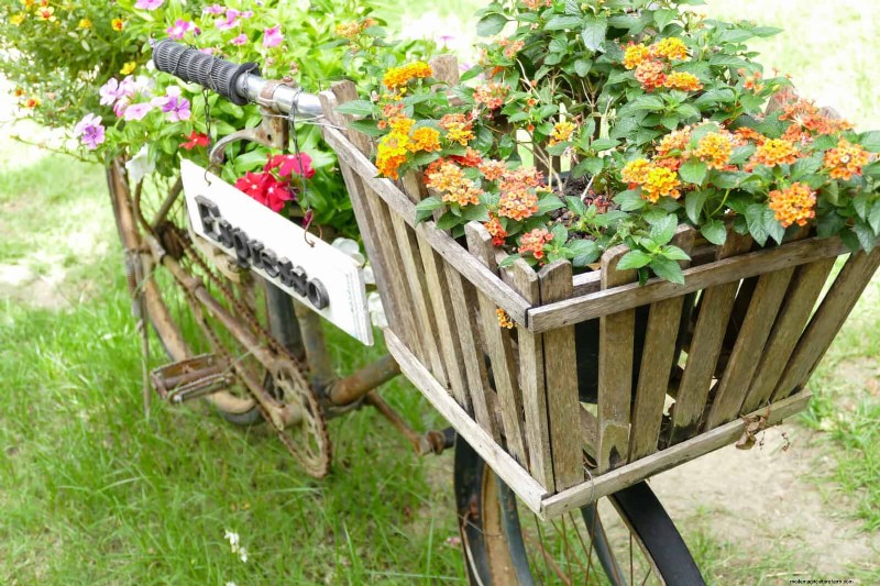 25 budgetvriendelijke plantenbakideeën die stijl toevoegen aan elke buitenruimte 