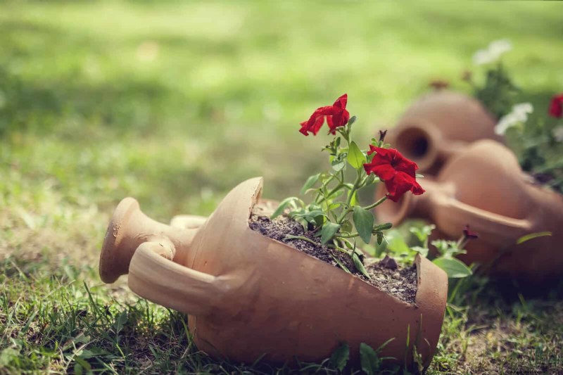 25 budgetvriendelijke plantenbakideeën die stijl toevoegen aan elke buitenruimte 