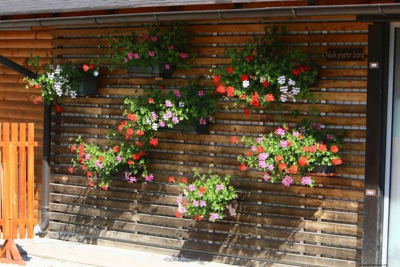 25 budgetvriendelijke plantenbakideeën die stijl toevoegen aan elke buitenruimte 