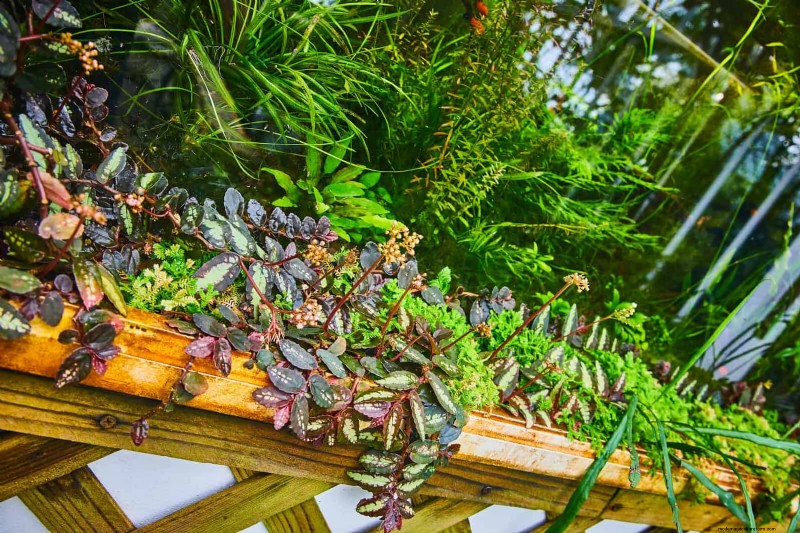 25 budgetvriendelijke plantenbakideeën die stijl toevoegen aan elke buitenruimte 