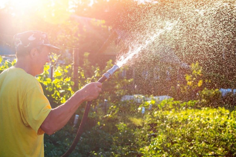 12 mythes de jardinage éprouvés qui pourraient saboter votre récolte 