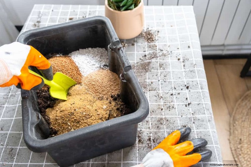 12 mythes de jardinage éprouvés qui pourraient saboter votre récolte 