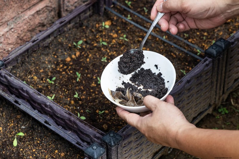 12 mythes de jardinage éprouvés qui pourraient saboter votre récolte 