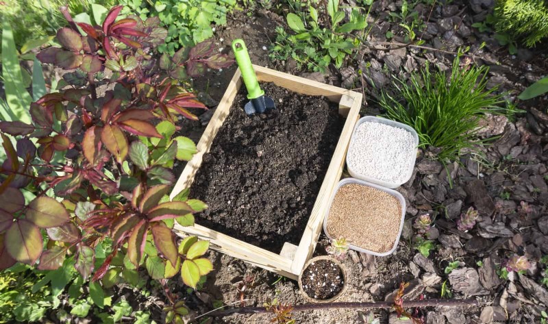12 mythes de jardinage éprouvés qui pourraient saboter votre récolte 