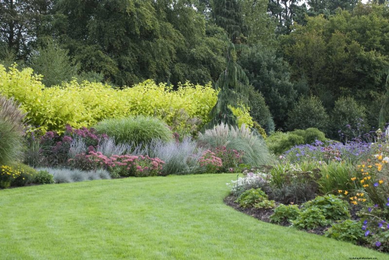 Jardinage sans paillis :techniques durables qui produisent un sol plus sain et des coûts inférieurs