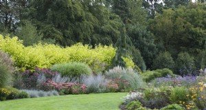 Jardinage sans paillis :techniques durables qui produisent un sol plus sain et des coûts inférieurs 