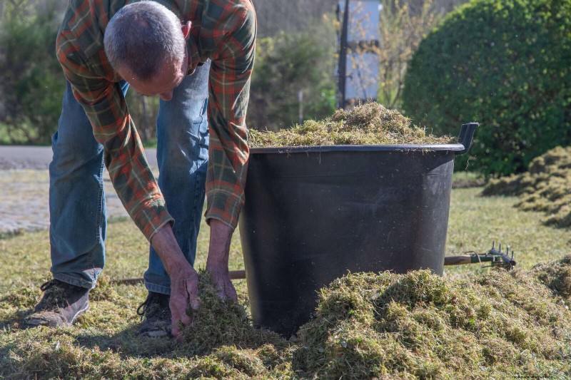 Jardinage sans paillis :techniques durables qui produisent un sol plus sain et des coûts inférieurs